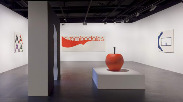 installation image of Math Bass: Serpentine Door