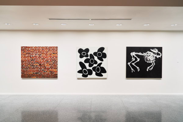 Installation images of Math Bass: a picture stuck in the mirror.