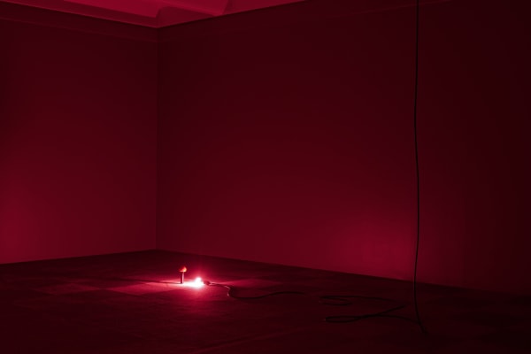 Installation image of Wong Ping: ༼;´༎ຶ ۝ ༎ຶ༽ ~♡