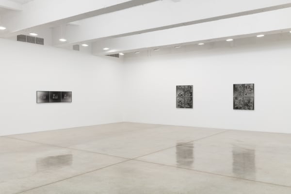 Lisa Oppenheim's installation view.