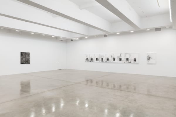 Lisa Oppenheim's installation view.