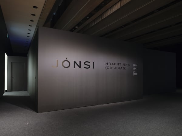 Installation view at Art Gallery of Ontario, Toronto