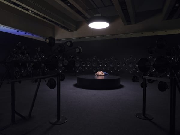 Installation view at Art Gallery of Ontario, Toronto