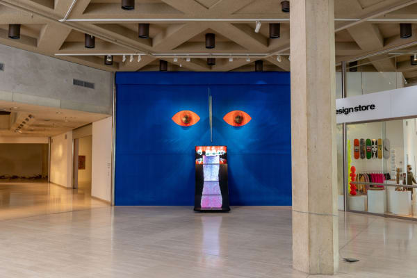Installation view of Wong Ping: Puberty