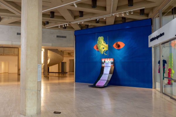 Installation view of Wong Ping: Puberty