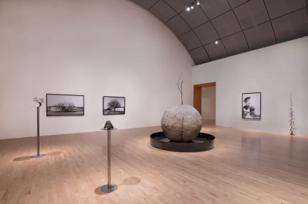 KELLY AKASHI: FORMATIONS at San Jose Museum of Art images