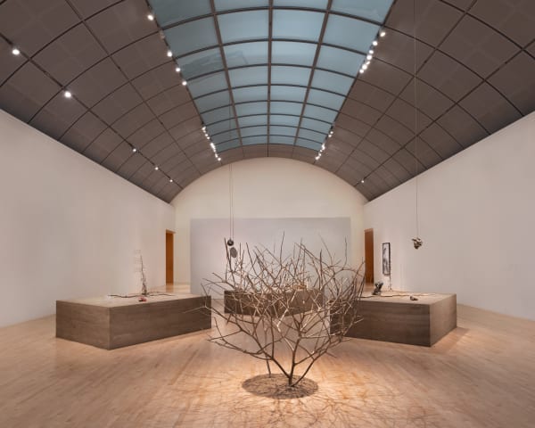 KELLY AKASHI: FORMATIONS at San Jose Museum of Art images