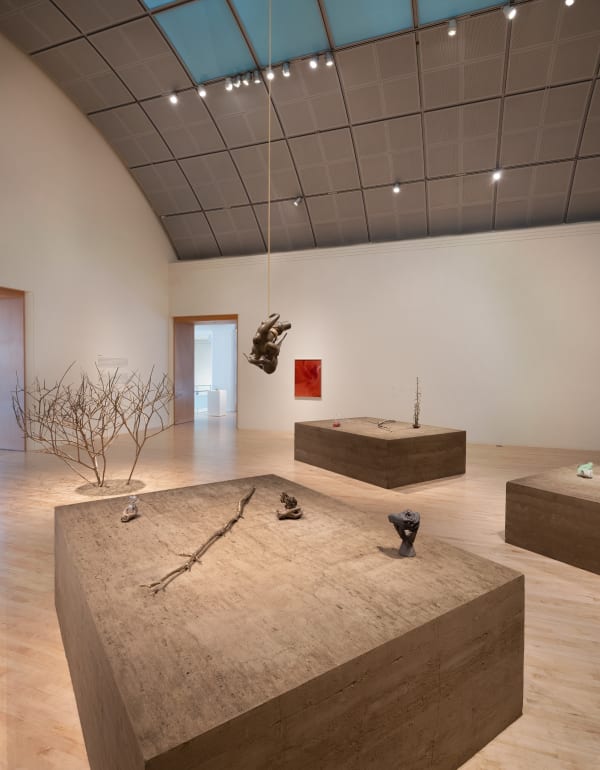 KELLY AKASHI: FORMATIONS at San Jose Museum of Art images