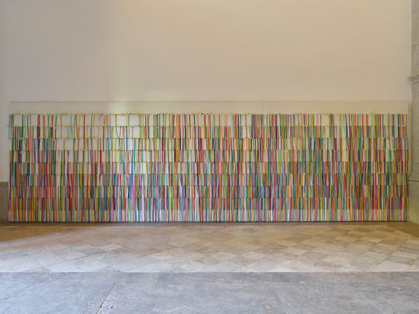 Installation views, 'Rivane Neuenschwander: Wild Seeds', Fundação de Serralves