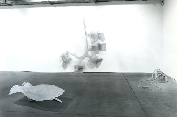 Markus Baenzinger install shot