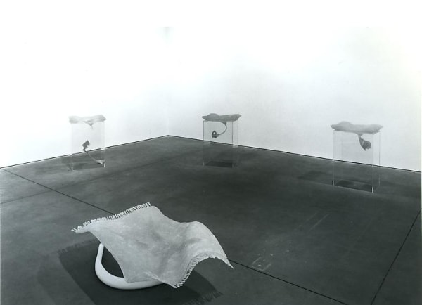 Markus Baenzinger install shot