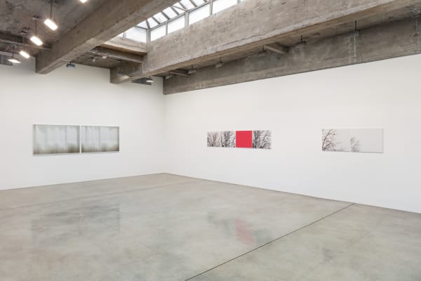 Uta Barth installation image.