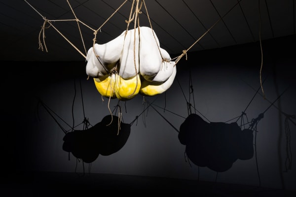 Installation image of Nathalie Djurberg & Hans Berg: The Skin is a Thin Container.