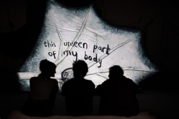 Installation image of Nathalie Djurberg & Hans Berg: The Skin is a Thin Container.