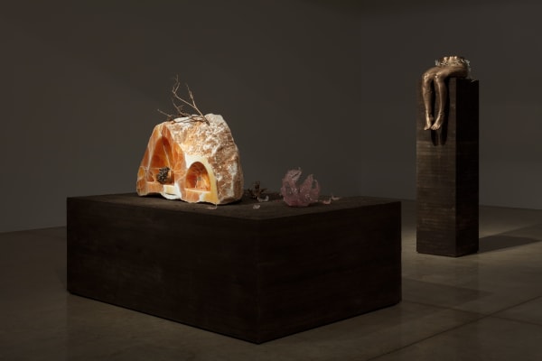 Kelly Akashi installation image at TBG NY 2023.