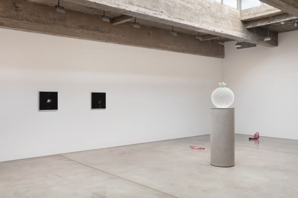 Kelly Akashi installation detail image at TBG NY 2023.