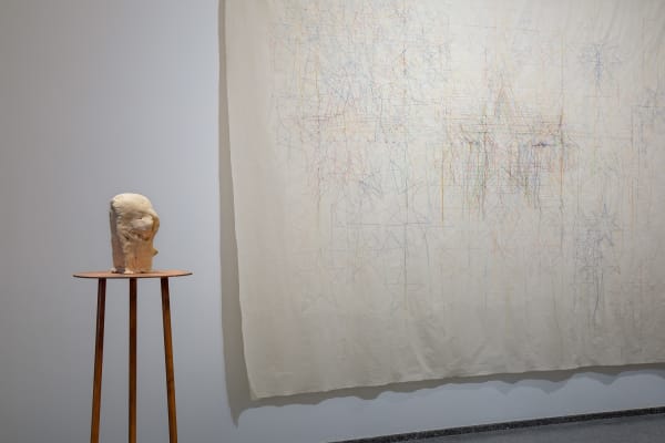 Installation image of Shilpa Gupta & Marisa Merz: visibileinvisibile