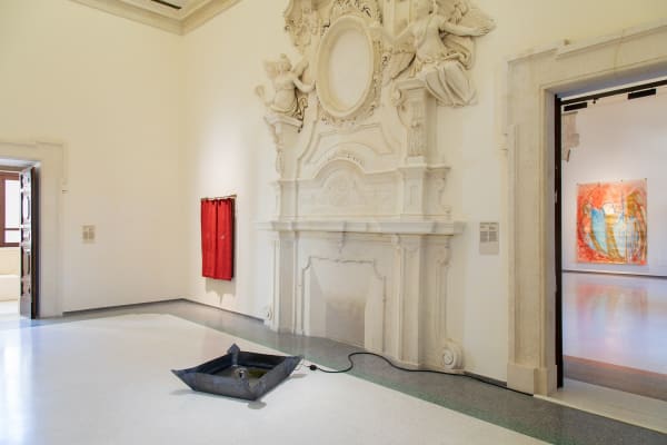 Installation image of Shilpa Gupta & Marisa Merz: visibileinvisibile