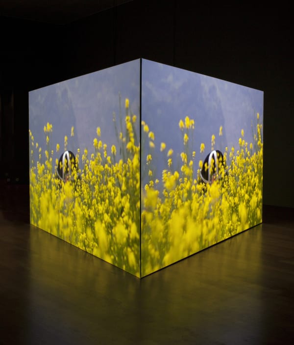 Installation view, Kimsooja: Weaving the World.