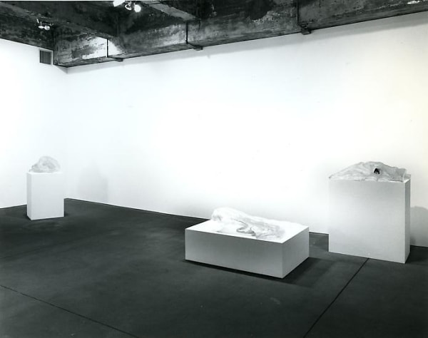 MARCUS BAENZIGER install
