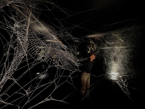 saraceno installation image