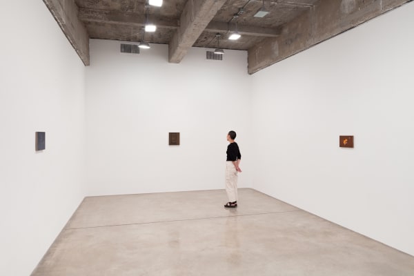 Installation Images with a figure standing in front of Night Tripper with paintings by Dana Powell