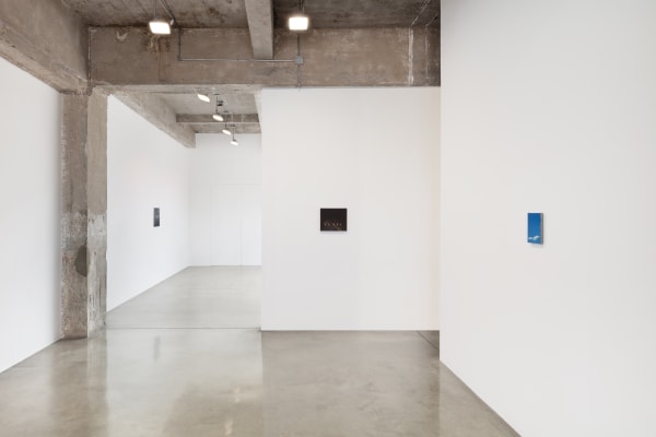 Installation Images of Night Tripper with paintings by Dana Powell