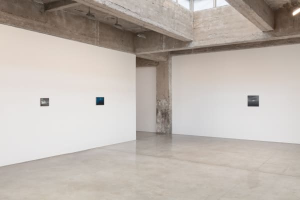 Installation Images of Night Tripper with paintings by Dana Powell