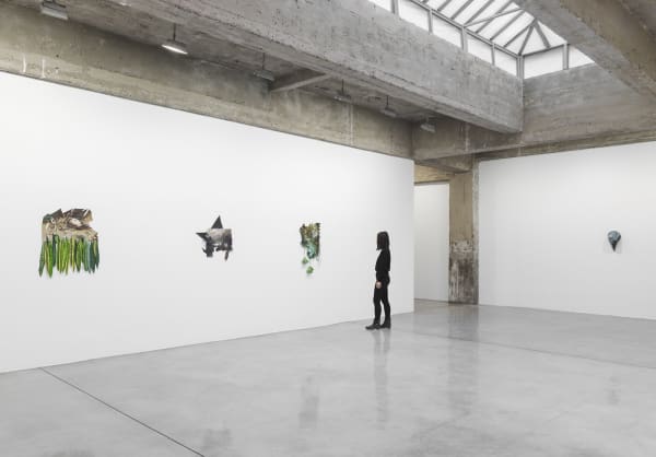 Nomad paintings install shot