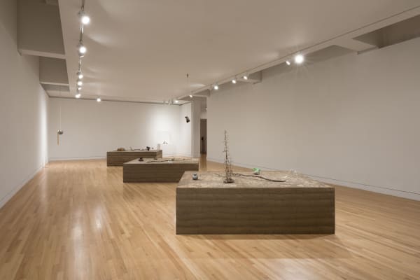 a group of earth colored sculptures within a gallery with white walls and wood floors