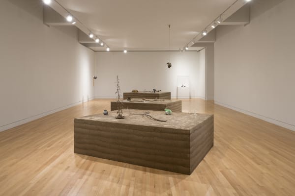 a group of earth colored sculptures within a gallery with white walls and wood floors