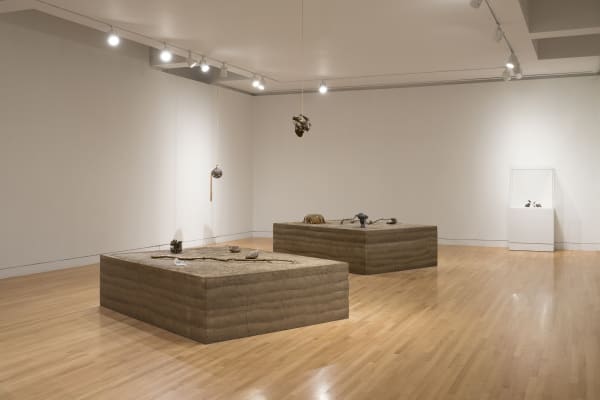 a group of earth colored sculptures within a gallery with white walls and wood floors