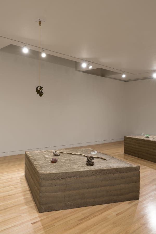 a group of earth colored sculptures within a gallery with white walls and wood floors