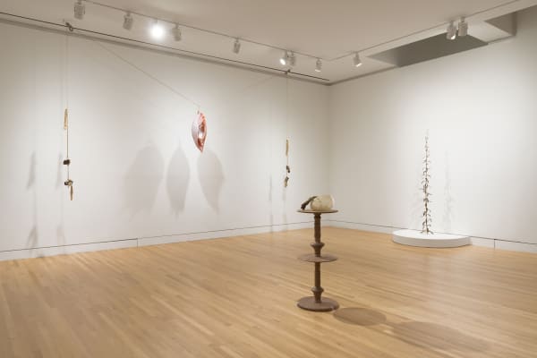 a group of earth colored sculptures within a gallery with white walls and wood floors