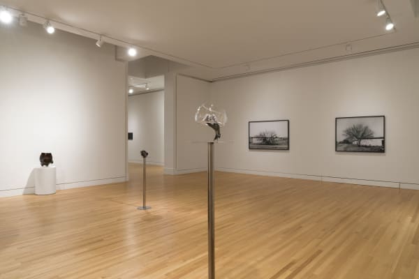 sculptures spaced out in a gallery with white walls and wood floor