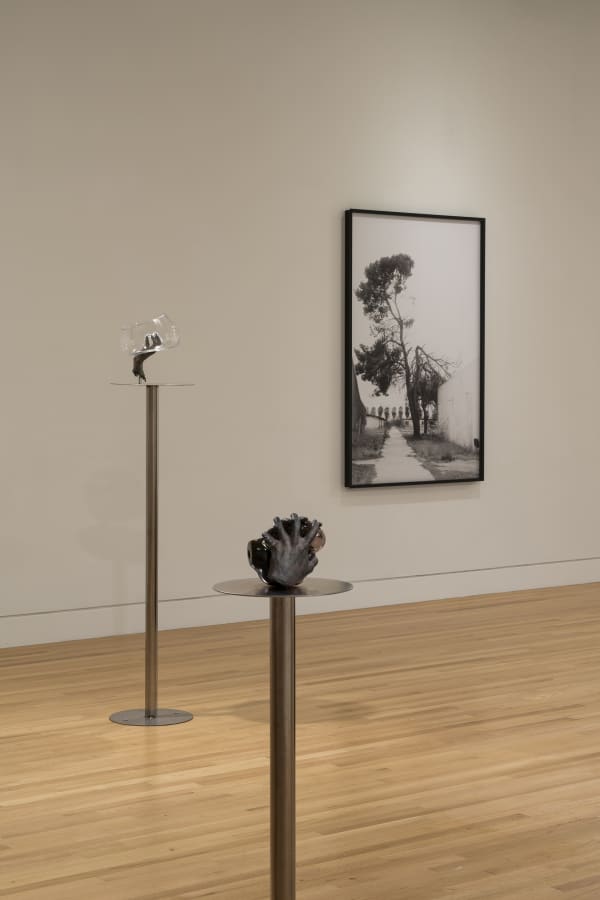 sculptures spaced out in a gallery with white walls and wood floor