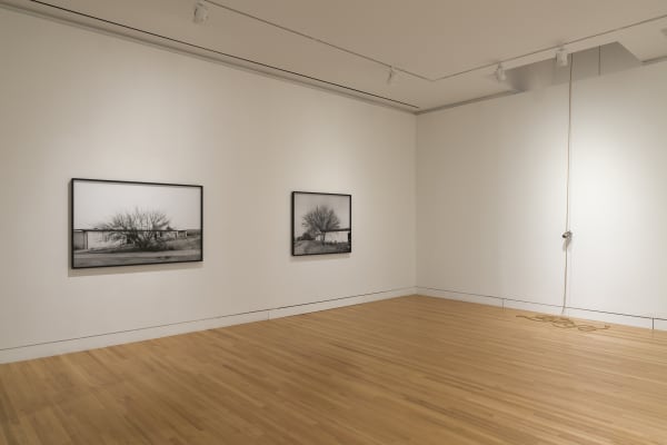 sculptures spaced out in a gallery with white walls and wood floor
