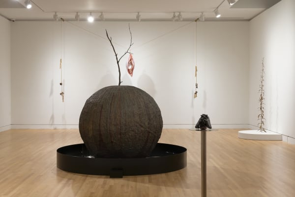 a group of earth colored sculptures within a gallery with white walls and wood floors