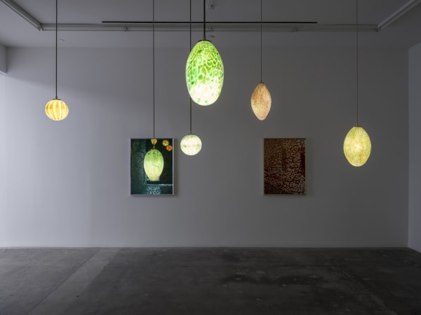 installation view of Slavs and Tatar's exhibition