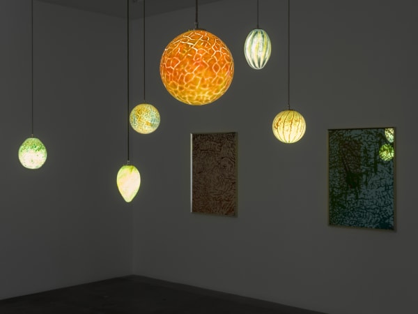 installation view of Slavs and Tatar's exhibition