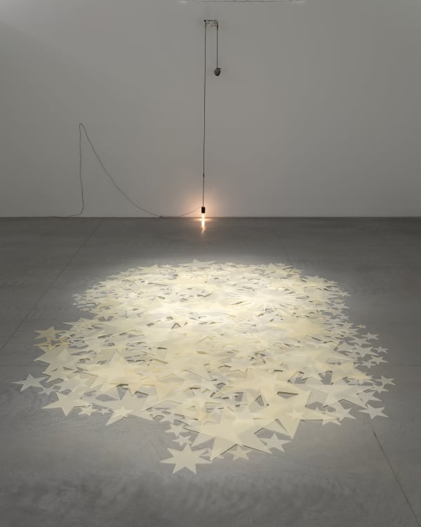 Shilpa Gupta installation images from Amant Brooklyn New York.