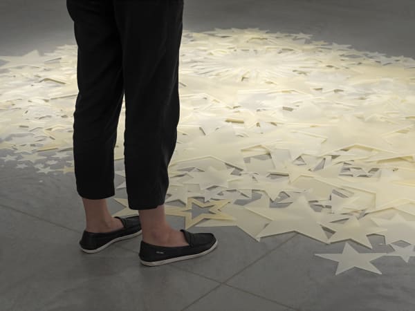 Shilpa Gupta installation images from Amant Brooklyn New York.