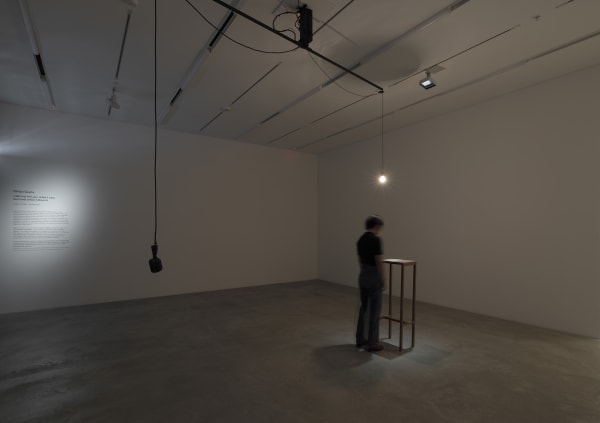 Shilpa Gupta installation images from Amant Brooklyn New York.
