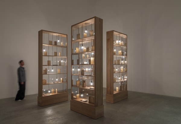 Shilpa Gupta installation images from Amant Brooklyn New York.