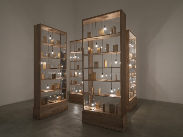 Shilpa Gupta installation images from Amant Brooklyn New York.