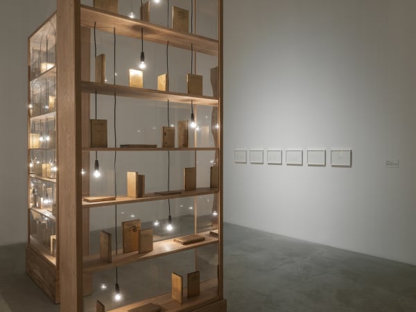 Shilpa Gupta installation images from Amant Brooklyn New York.