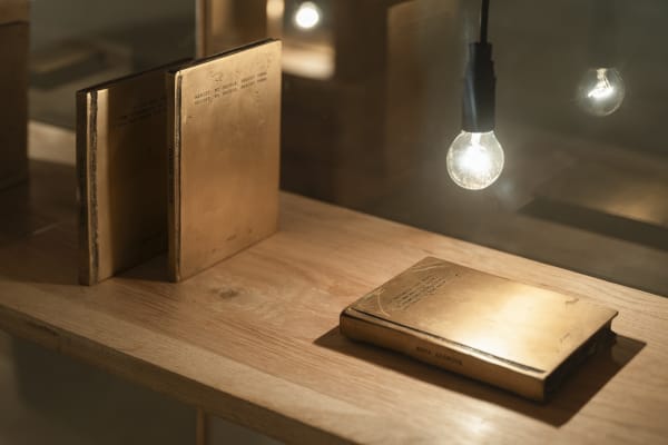 Shilpa Gupta installation images from Amant Brooklyn New York.