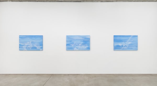 Sandra Cinto exhibition installation image.