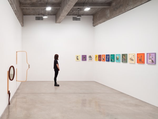 Pica installation image.