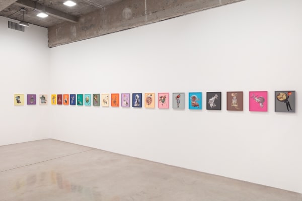 Pica installation image.